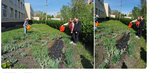 Неделя добрых дел.